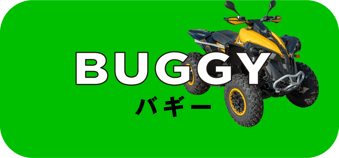 BUGGY
